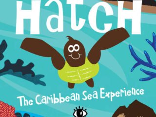 hatchpromo